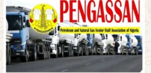 Screenshot_20250928-141305_1