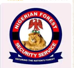 Screenshot_20251003-075150_1