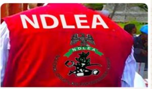 Screenshot_20251005-210753_1