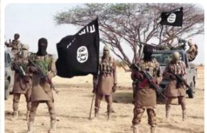 Screenshot_20251110-131048_1