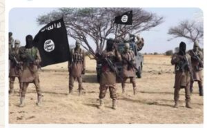 Screenshot_20251115-150439_1