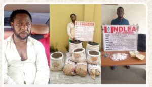 Screenshot_20260118-213537_1