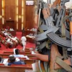 Senate Raises Alarm Over 178,000 Missing Firearms, Warns of Security Risks.
